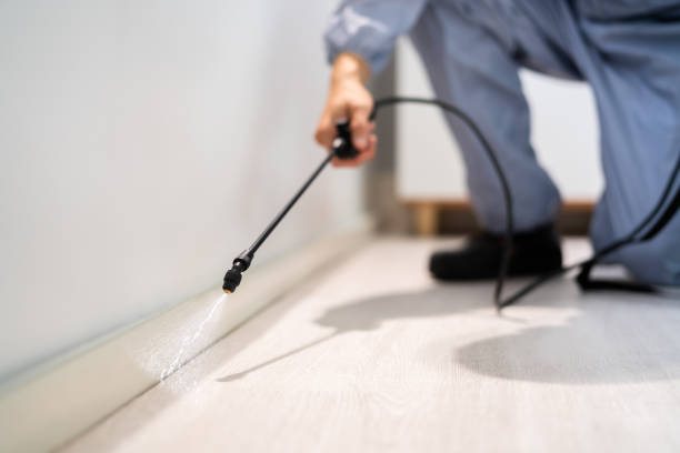 Certified termite inspector examining foundation in Mount Repose